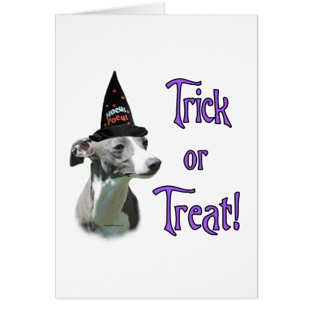Italian Greyhound Trick (Front)