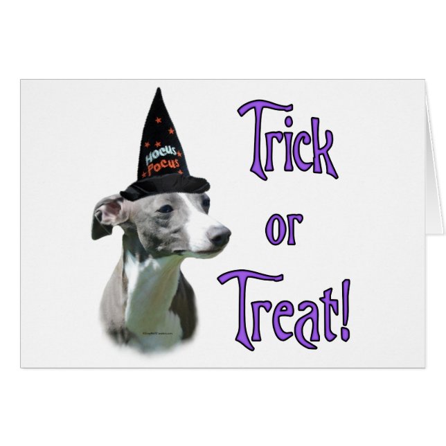 Italian Greyhound Trick (Front Horizontal)