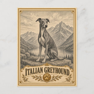 Italian Greyhound, Vintage Heritage Dog Postcard