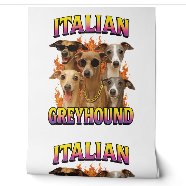 Italian Greyhound  Wallpaper (Unrolling)