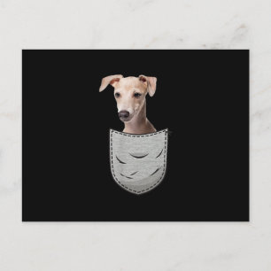 Italian Greyhound Whippet Chest Pocket For Dog Own Holiday Postcard