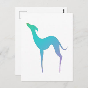 Italian Greyhound Whippet Dog elegant silhouette Postcard