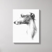 Italian Greyhound Whippet dog portrait drawing art