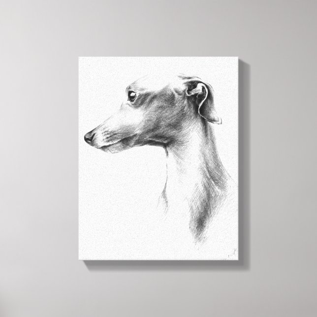 Italian Greyhound Whippet dog portrait drawing art Canvas Print (Front)