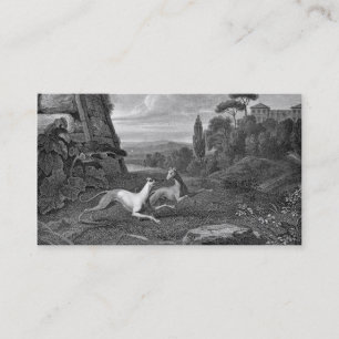 Italian Greyhounds Dog Drawing Business Card