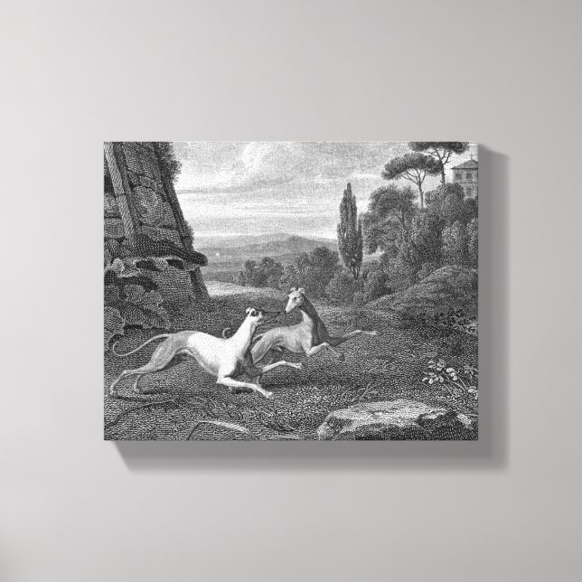 Italian Greyhounds Dog Drawing Canvas Print (Front)