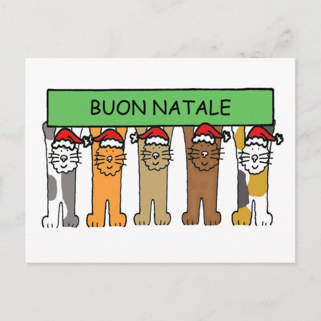 Italian Happy Christmas Cats Buon Natale Holiday Postcard (Front)