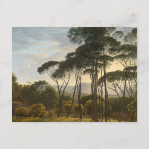 Italian Landscape with Umbrella Pines Postcard