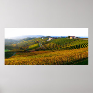 Italian Langhe hills poster