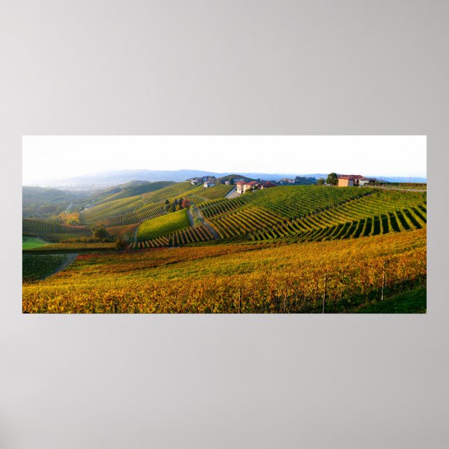 Italian Langhe hills poster (Front)