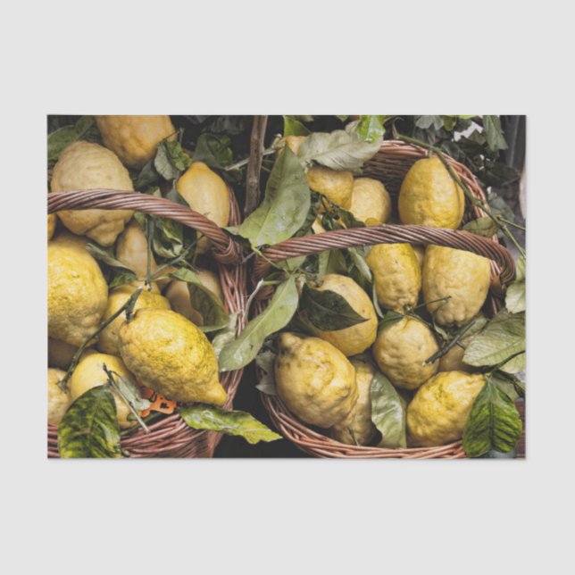 Italian Lemons in a Basket Tissue Paper (Front)