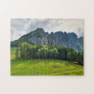 Italian mountain pines forest & green meadow jigsaw puzzle
