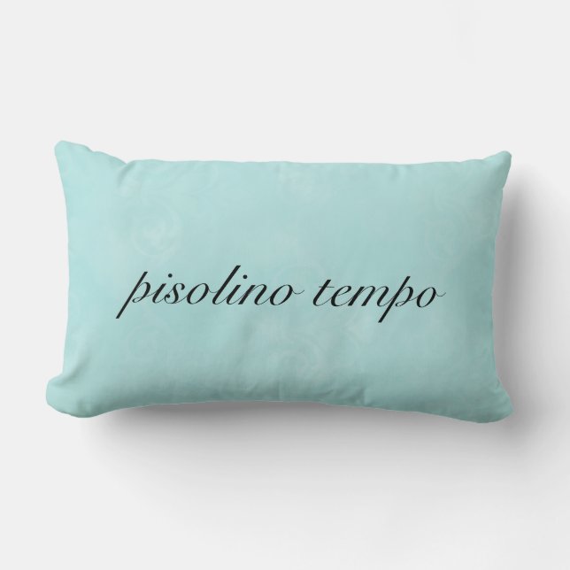 Italian "Nap Time" Aqua Pillow (Front)