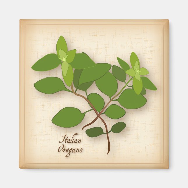 Italian Oregano Herb Magnet (Front)