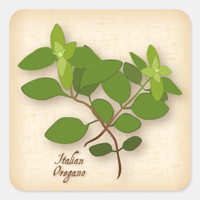 Italian Oregano Square Sticker (Front)