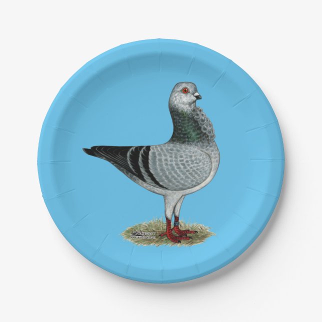 Italian Owl Grizzle Pigeon Paper Plate (Front)