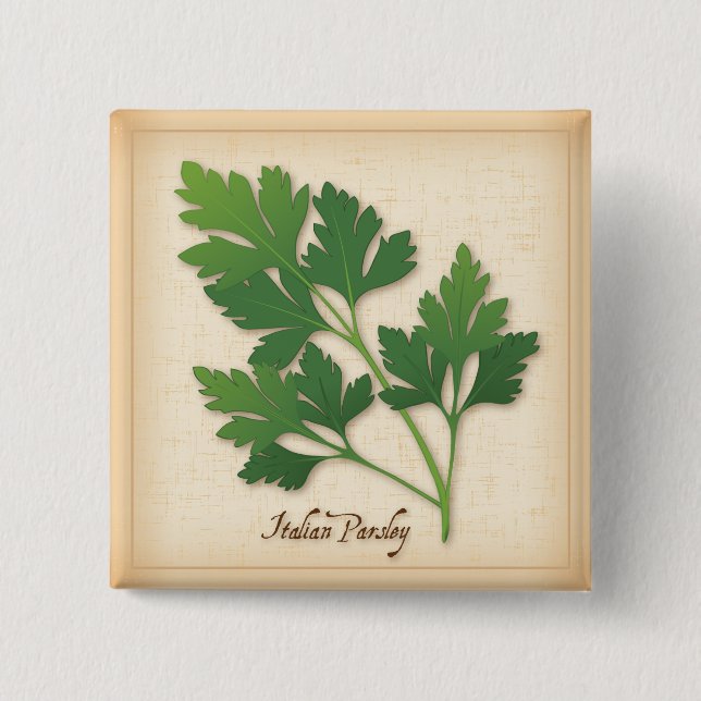 Italian Parsley Herb 15 Cm Square Badge (Front)