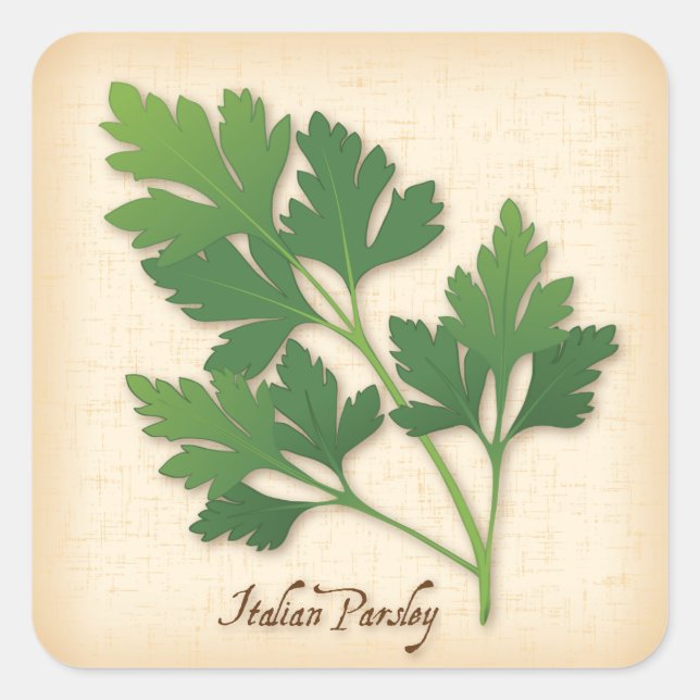 Italian Parsley Herb Square Sticker (Front)