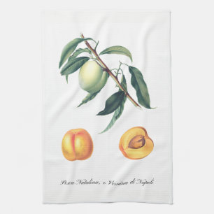 Italian Peach Kitchen Towel