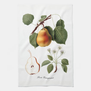Italian Pear Kitchen Towel