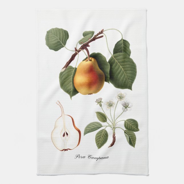 Italian Pear Kitchen Towel (Vertical)