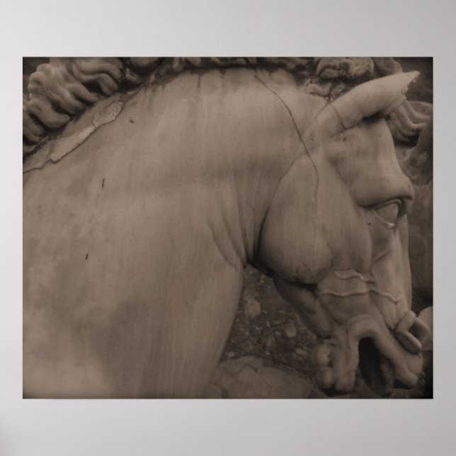 Italian Renaissance Art Horse Poster (Front)