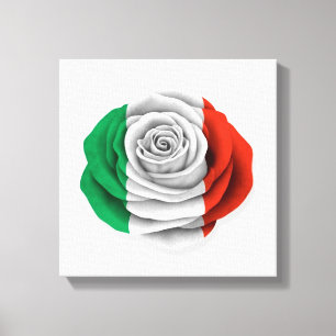 Italian Rose Flag on White Canvas Print