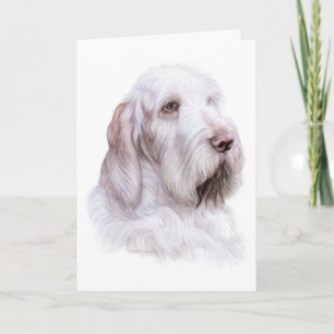 Italian Spinone Italiano Card
