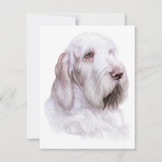 Italian Spinone Italiano Invitation (Front)