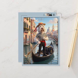 Italian Spinone Venice Postcard
