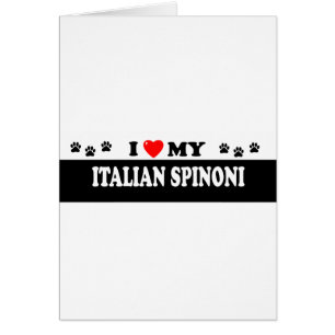 ITALIAN SPINONI