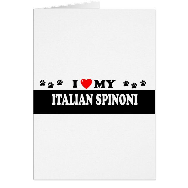 ITALIAN SPINONI (Front)