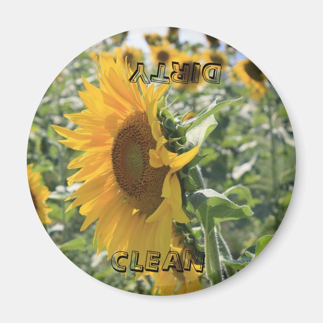 Italian Sunflower Magnet (Front)