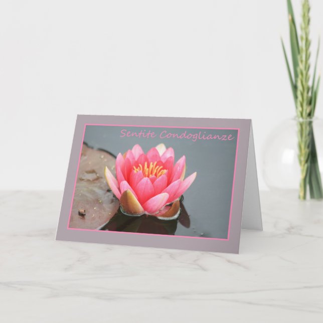 Italian Sympathy Pink water lily Card (Front)