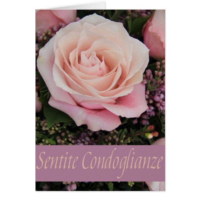 Italian Sympathy roses - sentite condoglianze (Front)