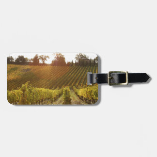 Italian vineyard in Tuscany Luggage Tag
