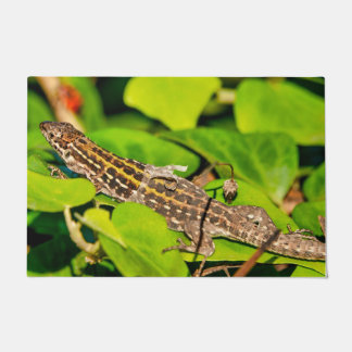 Italian wall lizard doormat