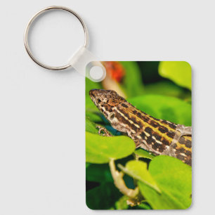 Italian wall lizard key ring