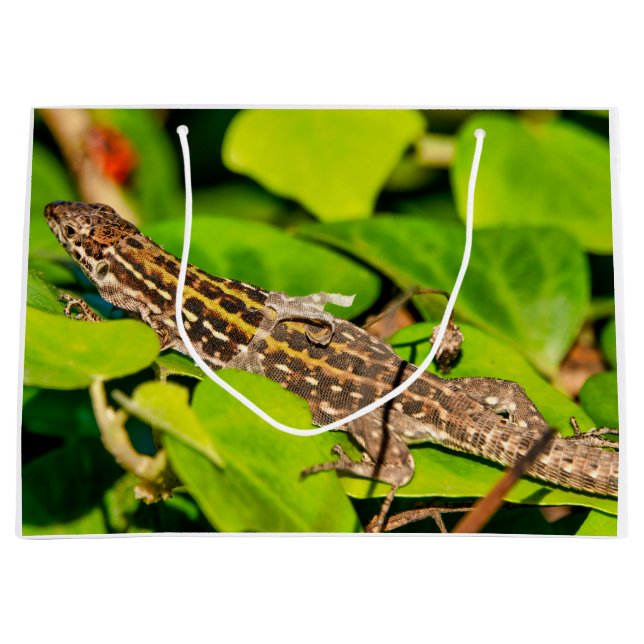 Italian wall lizard large gift bag (Front)