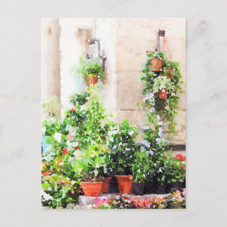 Italian Watercolor Painted Flower Market Postcard