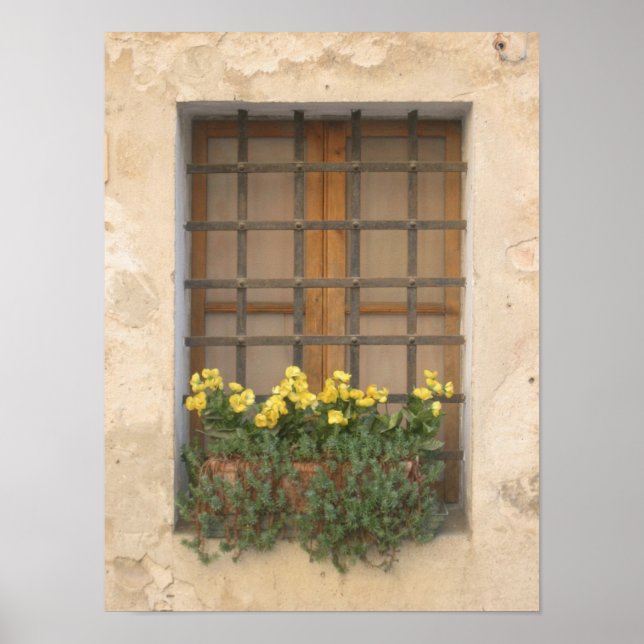 Italian Window Poster (Front)