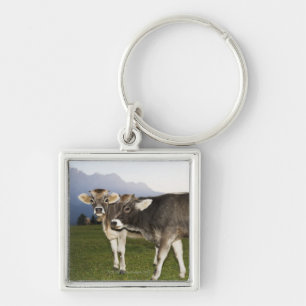Italy, Alto Adige Key Ring