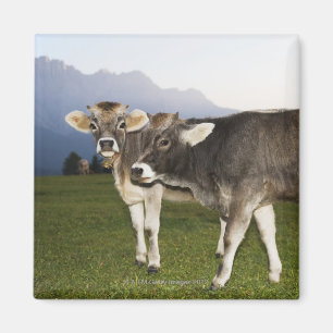 Italy, Alto Adige Magnet