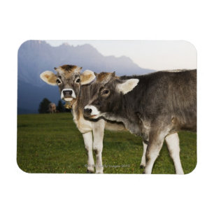 Italy, Alto Adige Magnet