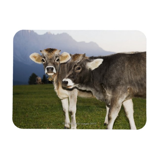 Italy, Alto Adige Magnet (Horizontal)