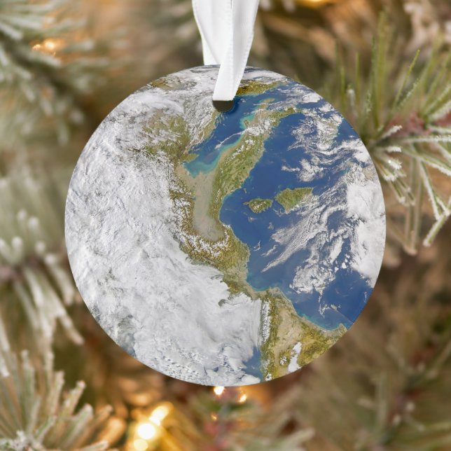 Italy And The Adriatic Sea. Ornament (Tree)