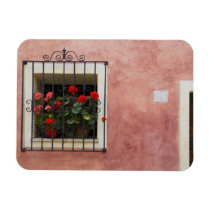 Italy, Asciano, Window Boxes with Fresh Spring Magnet