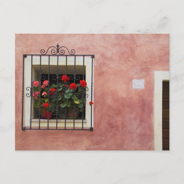 Italy, Asciano, Window Boxes with Fresh Spring Postcard (Front)