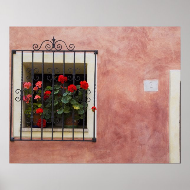Italy, Asciano, Window Boxes with Fresh Spring Poster (Front)
