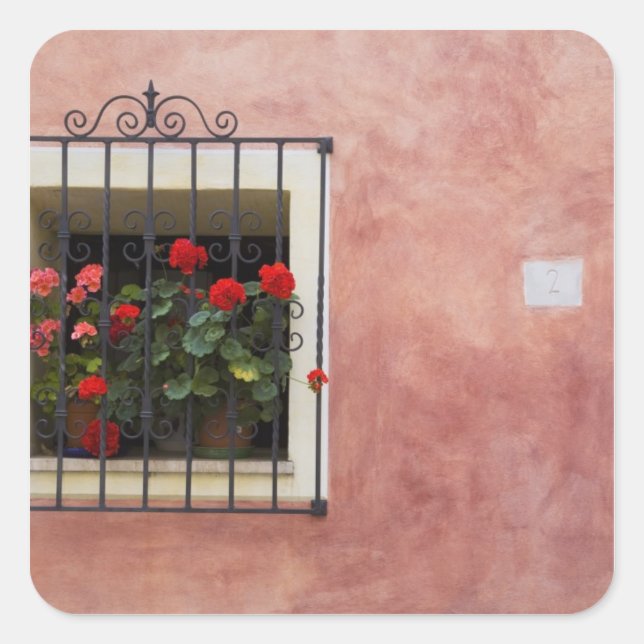 Italy, Asciano, Window Boxes with Fresh Spring Square Sticker (Front)